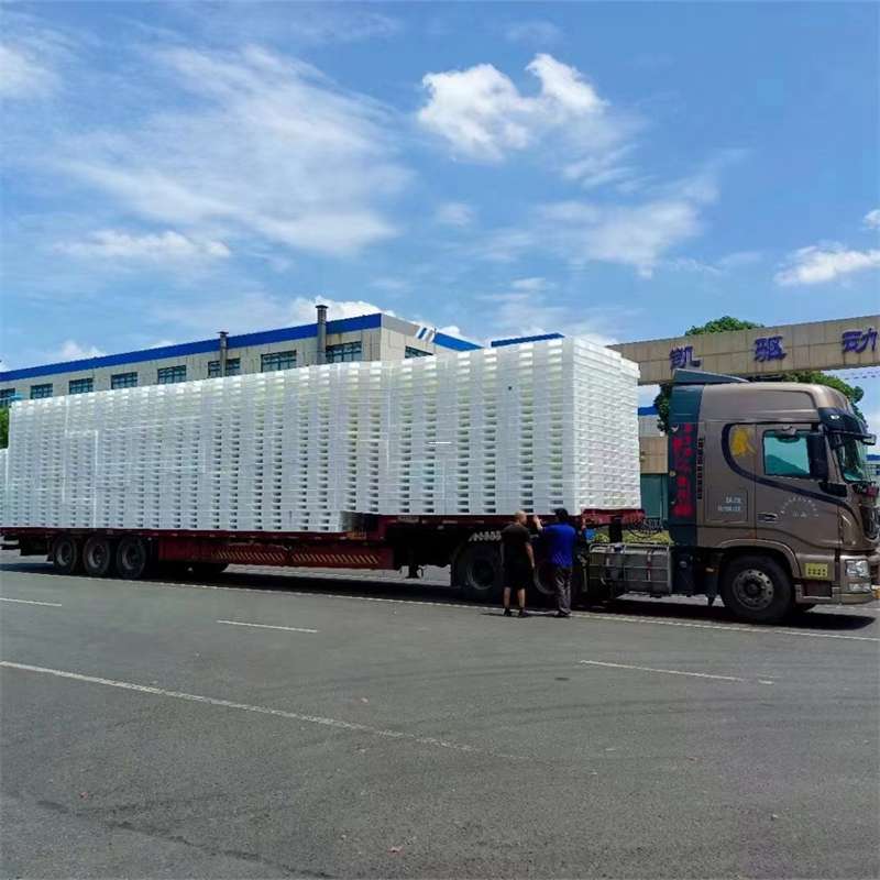 安塞区黄埔区物流：多元服务与高效运输线路探秘