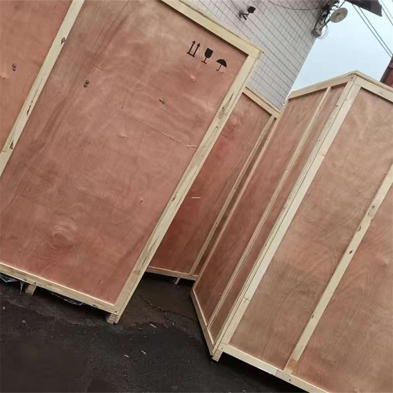 安塞区精河县：多元物流服务开启高效运输新篇