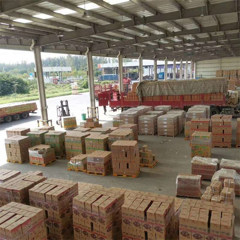 安塞区泉州市物流：多元运输服务与精彩线路探索