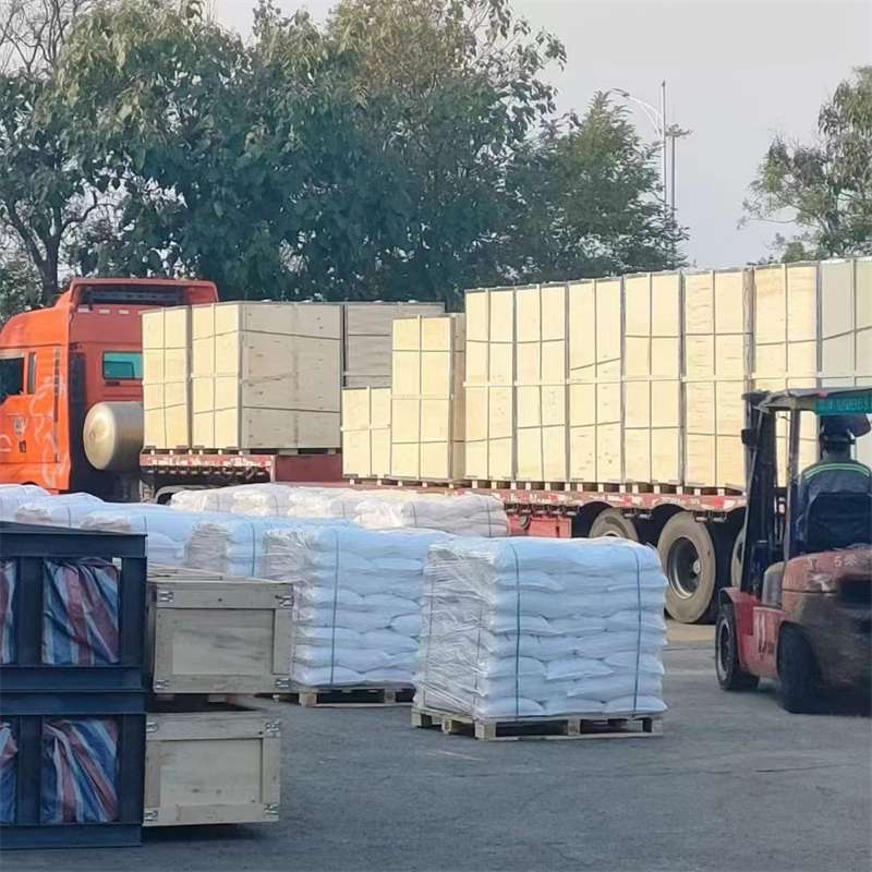 安塞区探秘多元货运：从冷链到大件的物流世界