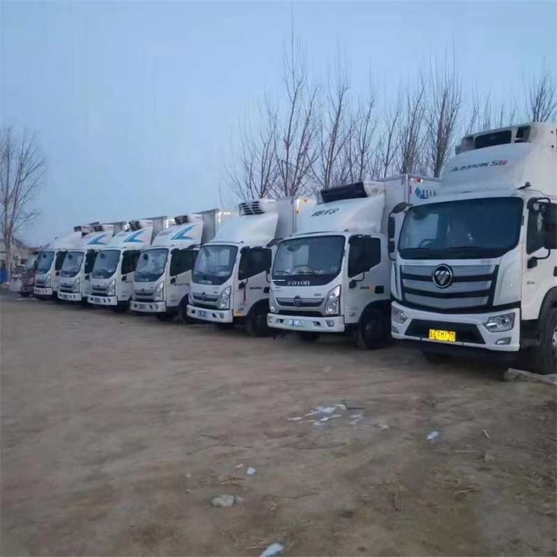 安塞区巩留县物流运输：专线直达与多样服务探索