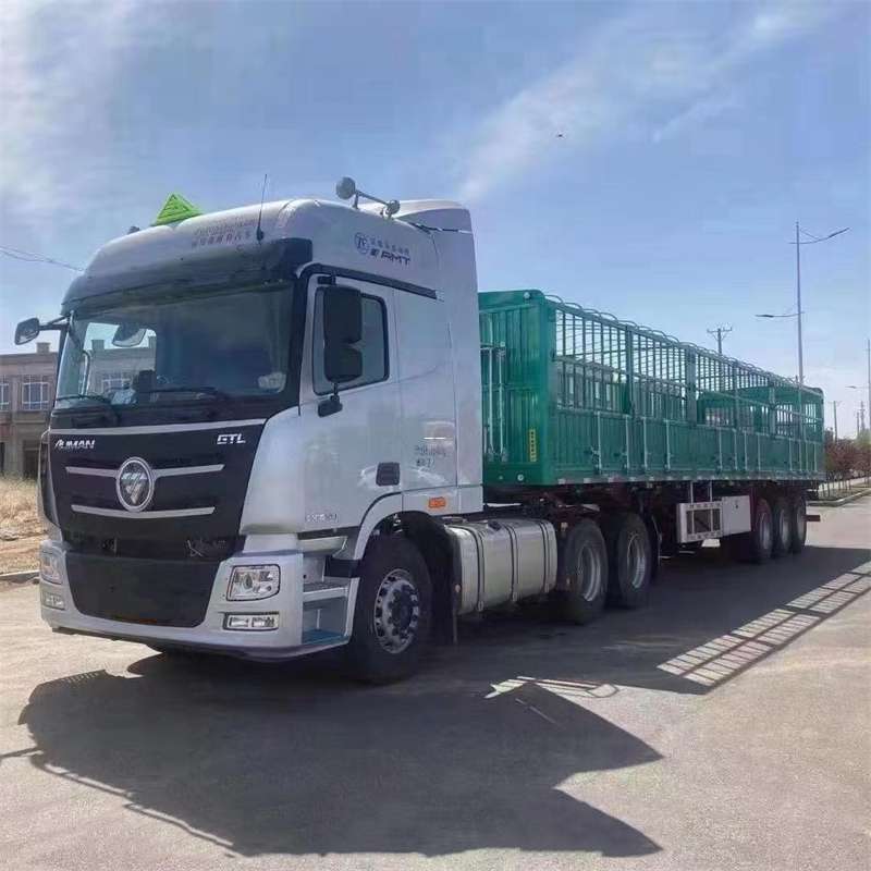 安塞区探秘陇西县进仓物流：专线直达的货运传奇