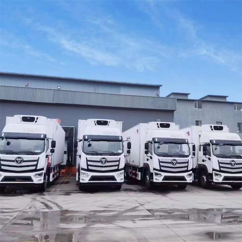 安塞区新龙县进仓物流：多元专线直达运输探秘